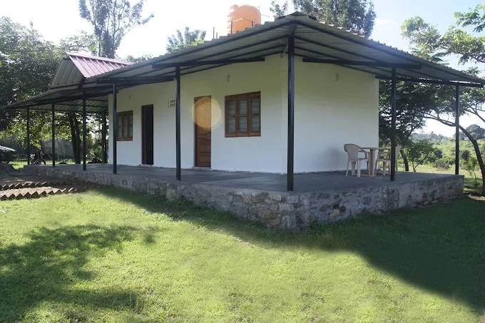 bandipur-cheap-stay-option-safari-timings-budget-tips-bandipur-safari-online-booking-cheapest-2025