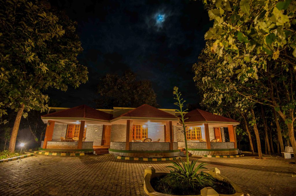 bandipur-cheap-stay-option-safari-timings-budget-tips-bandipur-safari-online-booking-cheapest-2025