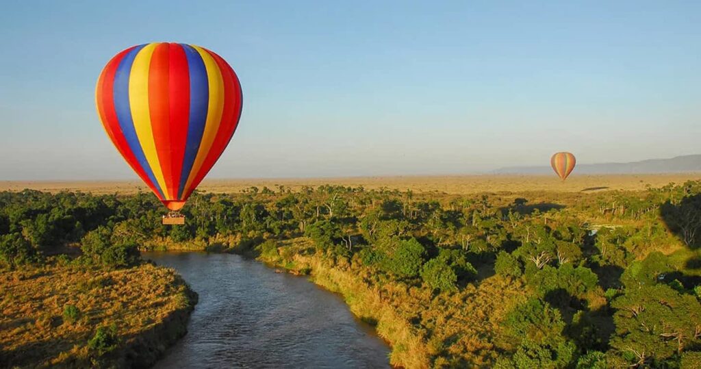 Lions - Masai Mara-budget-friendly-african-safari-from-india- hot-air-balloon-safari-masai-mara-kenya