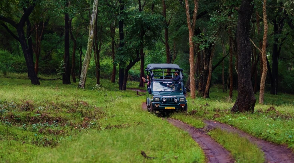 Peaceful safari road inside Nagarahole Tiger Reserve India