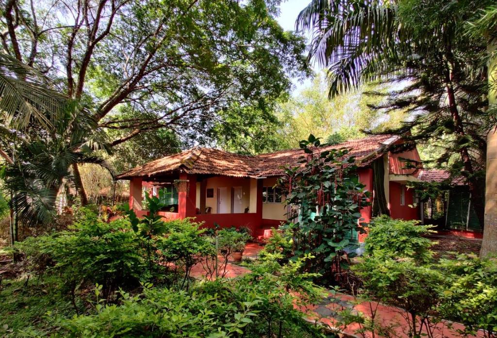 Family-friendly jungle resort near Nagarahole National Park