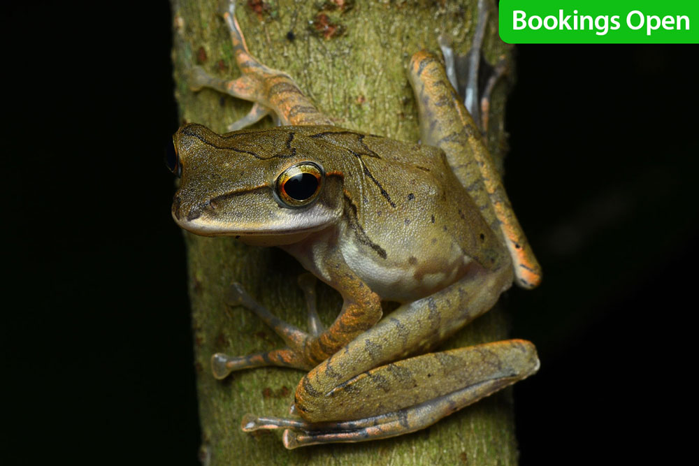 Bookings-Open---Munnar---macro-photography-tour-expedition-family-kids-photographers