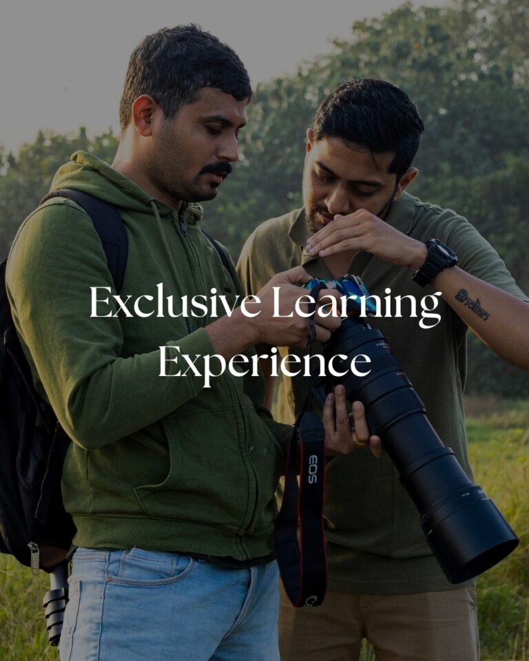 wildlife photography-photographytours-ranthambore-kaziranga-tadoba-kanga-panna-best-wildlife-photographer-sudhir shivaram-jayanth sharama-varun aditya-shaazjung-canon camera-nikon camrea-sony camera-camera rentals