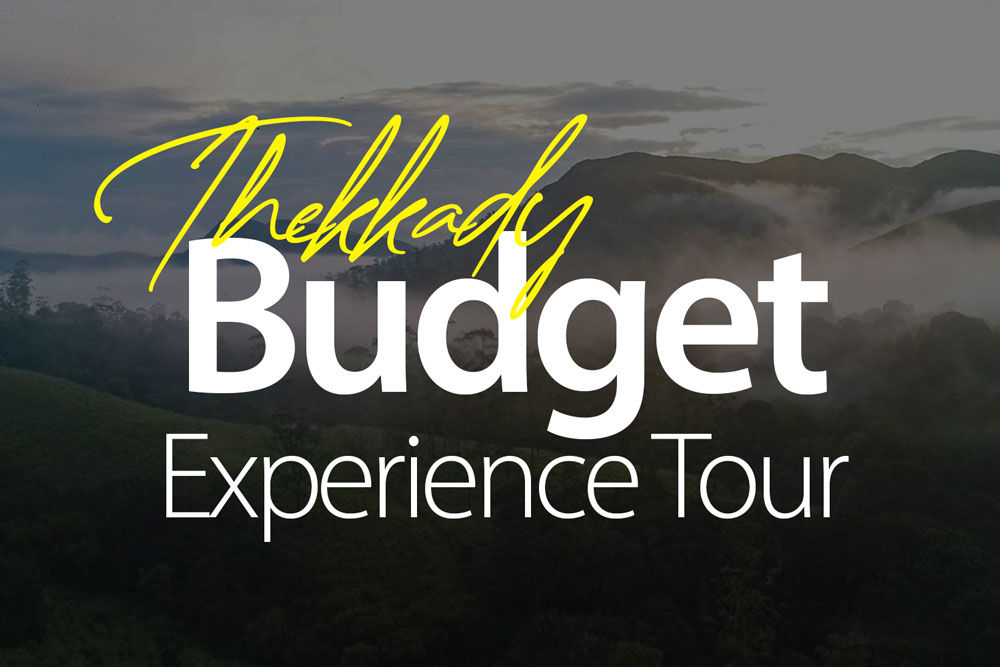 Thekkady-best-budget-experience-trekking-gypsy-safari-nature-trails-elephant-ride-best-ride-experiences-stay-online-bookings-2025-2026