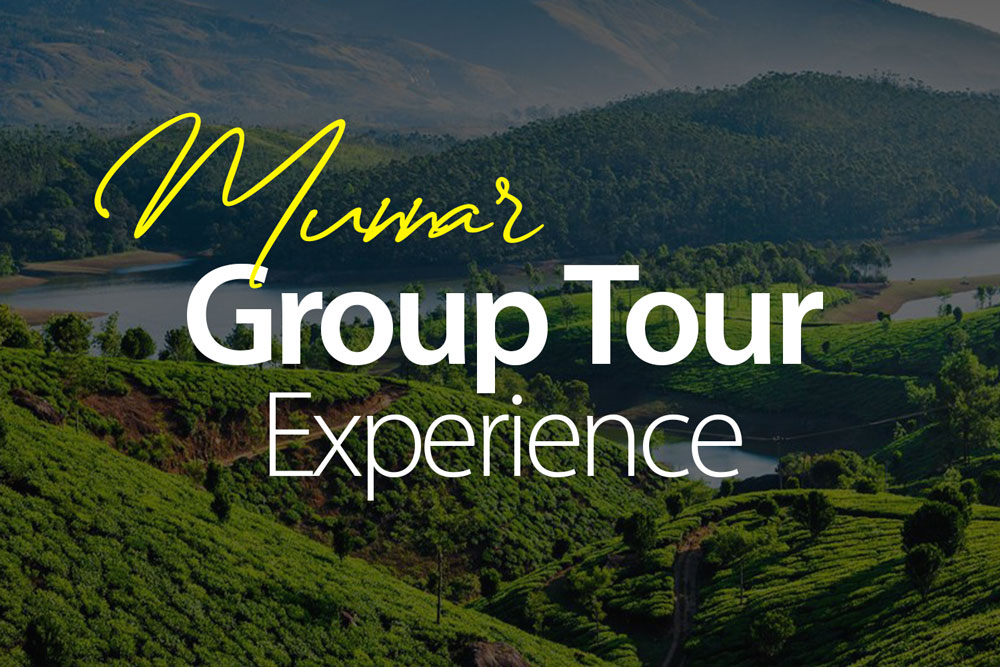 munnar-schools-group-tours-best-experience-2025-2026-corporate-outing-trekking-gypsy-ride-best-of-munnar-rides-of-munnar