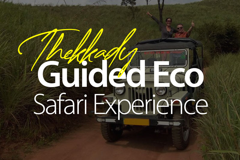 Adventure Tourism Kerala, CustomTour, Elephant ride in Thekkady forest, Group walking in Spice Plantation Thekkady, Kalaripayattu performance, Kerala Adventure, Nature Travel, Spice Plantation Tour Thekkady, Spice Plantations, Tea plantation rolling hills, Thekkady Eco-Tourism Tour, Thekkady Group Tour, Trekking group in Thekkady mountains