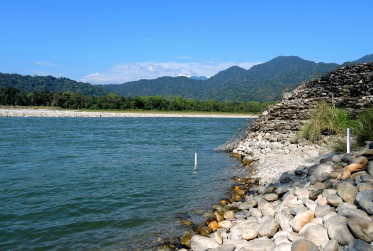 Manas National Park Assam: Visit This Amazing Wildlife Reserve