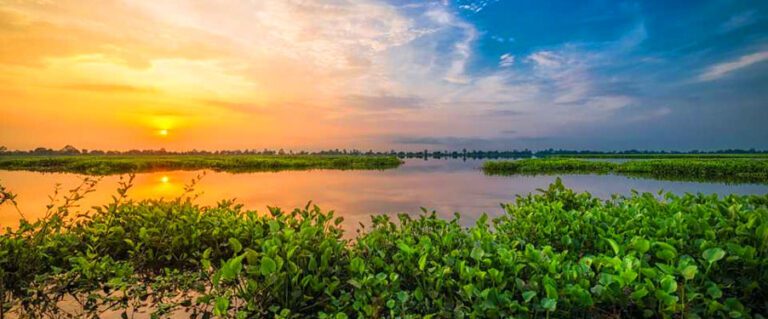 Ultimate Manas Safari Guide to Assam’s Wild Paradise