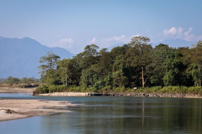 Discover the Stunning Landscapes of Manas National Park