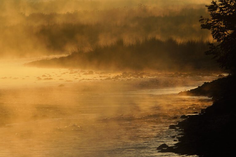 Why Your Corbett Safari Experience Depends on One River