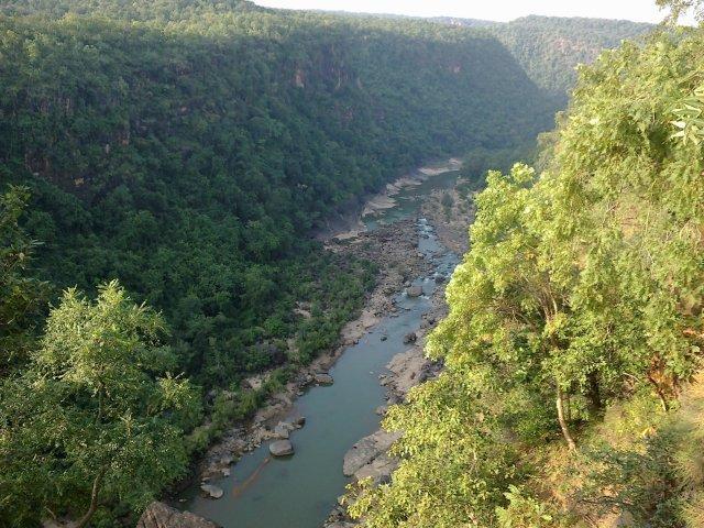 Wildlife Corridors in Satpura: Why They Matter More Than Tigers