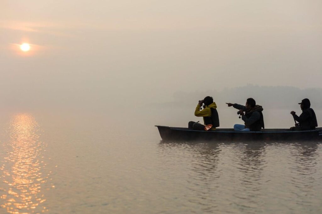 Satpura Tiger Reserve Guide: How to Plan the Perfect Wildlife Safari in India