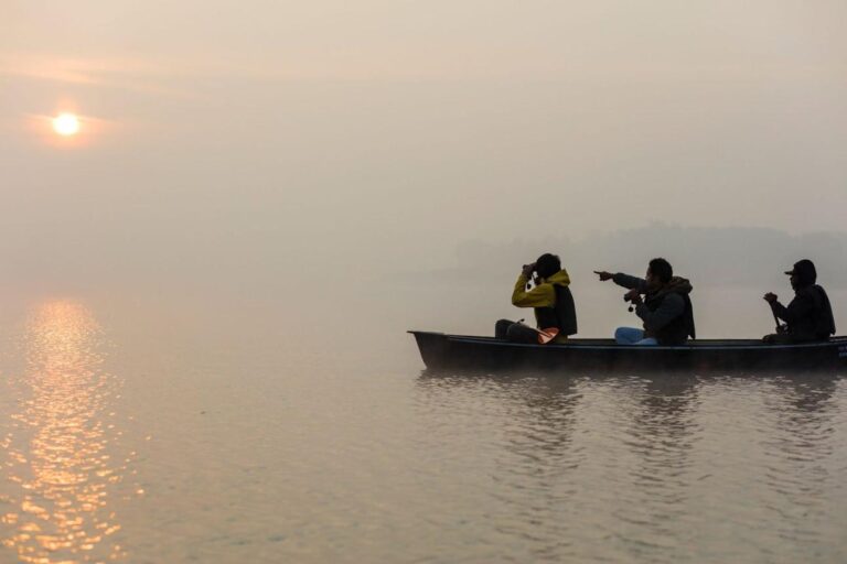 Satpura Tiger Reserve Guide: How to Plan the Perfect Wildlife Safari in India