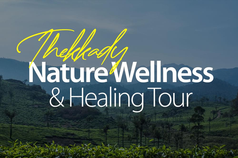 nature-wellness-and-healing-tour-thekkady-tourism-better-best-for-mental-health-nature-healing-practices-best-outcomes-better-nature-heals-2025-online-healing-best-practices