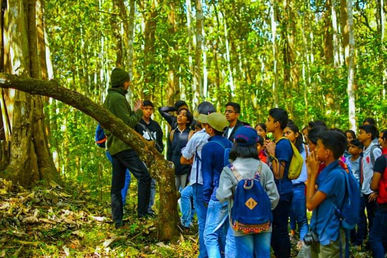 Kids learning wildlife behaviour during Nagarahole safari